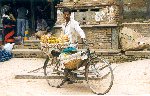Bhaktapur fruitseller