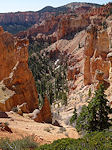 Bryce Ponderosa Canyon