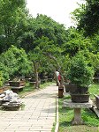 Huangguoshu garden