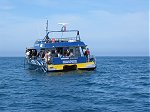 Kaikoura whale watch boat