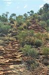 Kings Canyon stairs
