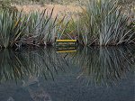 Milford Sound Mirror lakes