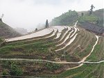 Ping'An wet rice terraces