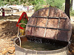 Pushkar water lady