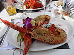 Qubec Lobster