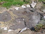 Rotorua mud pool