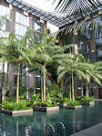 Singapore Crowne Plaza swimming pool