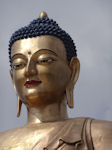 Thimpu Buddha head
