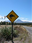 Tongariro kiwi sign