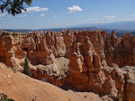 Bryce Ponderosa Canyon