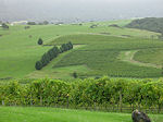 Crooked River winery fields