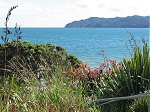 Doubtless bay