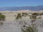 Death Valley sand dunes
