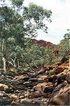 Kings Canyon river