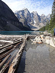 Moraine Lake wood