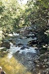 Mossman river