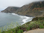 Pacific coast