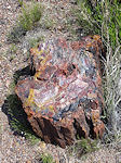 PF colored wood