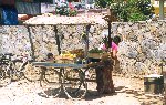 Pokhara lady fruitseller