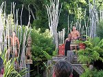 Rotorua Maori village