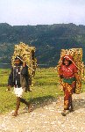 Working couple near Sarangkot
