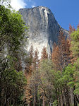 Yosemite El Capitan