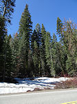 Yosemite to Glacier Point